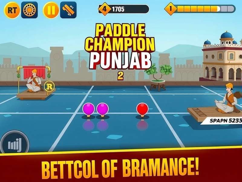 Paddle Champion Punjab features showcase